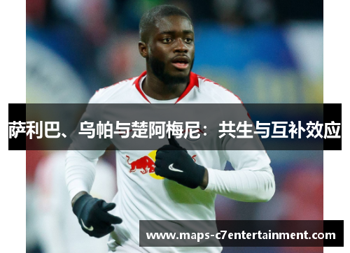 萨利巴、乌帕与楚阿梅尼:共生与互补效应 萨利巴、乌帕与楚阿梅尼:共生与互补效应