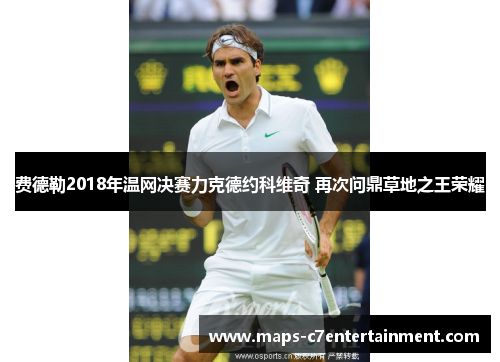 费德勒2018年温网决赛力克德约科维奇 再次问鼎草地之王荣耀 费德勒2018年温网决赛力克德约科维奇 再次问鼎草地之王荣耀
