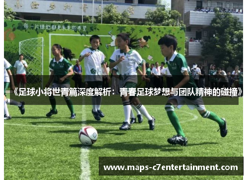 《足球小将世青篇深度解析：青春足球梦想与团队精神的碰撞》
