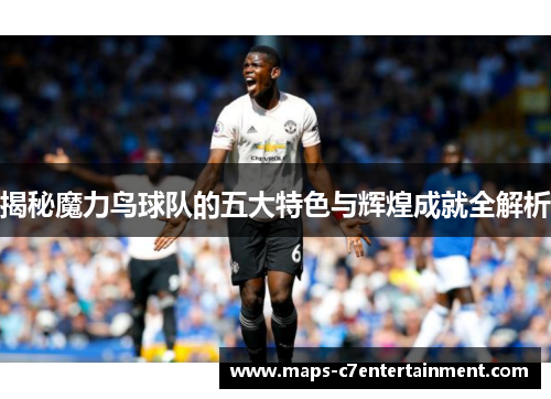揭秘魔力鸟球队的五大特色与辉煌成就全解析 揭秘魔力鸟球队的五大特色与辉煌成就全解析