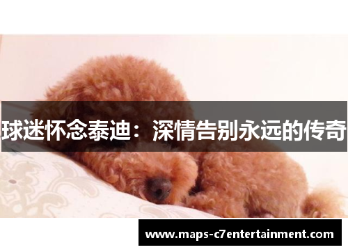 球迷怀念泰迪:深情告别永远的传奇 球迷怀念泰迪:深情告别永远的传奇