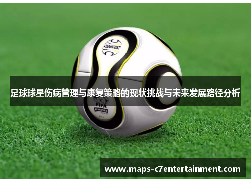 足球球星伤病管理与康复策略的现状挑战与未来发展路径分析