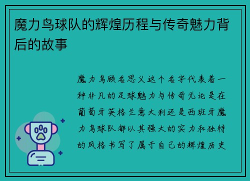 魔力鸟球队的辉煌历程与传奇魅力背后的故事
